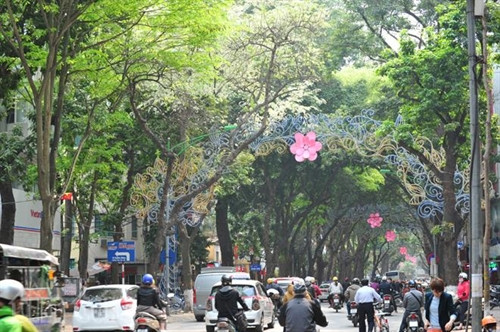 Hẹn gặp lại, sắc trắng hoa sưa ảnh 12