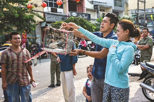 Người Hoa thả chim phóng sinh vào dịp đầu năm. Người Hoa thả chim phóng sinh vào dịp đầu năm.