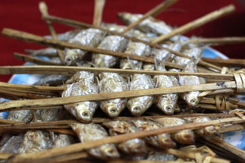 Những con cá ở hồ Ba Bể được bắt và nướng ngay tại chỗ