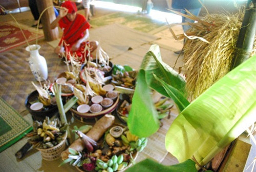 Lễ vật dâng các Yang của người Tà Ôi, ngoài cơm, rượu, các loại hoa quả, còn có cả mẹ lúa. Lễ vật dâng các Yang của người Tà Ôi, ngoài cơm, rượu, các loại hoa quả, còn có cả mẹ lúa.