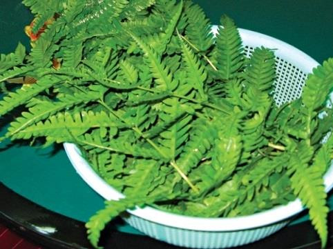 5 loại rau giúp kéo dài tuổi thọ ảnh 4