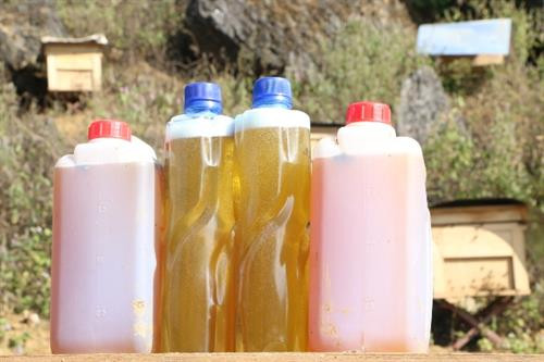 Mật ong bạc hà là sản phẩm được nhiều người tiêu dùng ưa chuộng