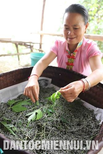 Xã Phà Đánh, huyện Kỳ Sơn chủ trương nhân rộng các mô hình kinh tế và duy trì các ngành nghề truyền thống như: dệt thổ cẩm, trồng dâu nuôi tằm. Ảnh: Nam Sương