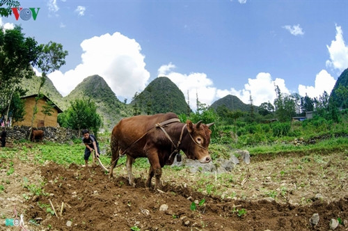 Sự tảo tần, chân thành, mộc mạc làm nên vẻ đẹp của người vùng cao.