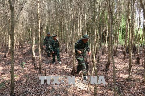 Cán bộ chiến sĩ Lâm trường 422 (huyện Hòn Đất) tuần tra kiểm soát phòng chống cháy rừng mùa khô. Ảnh: Lê Huy Hải - TTXVN Cán bộ chiến sĩ Lâm trường 422 (huyện Hòn Đất) tuần tra kiểm soát phòng chống cháy rừng mùa khô. Ảnh: Lê Huy Hải - TTXVN