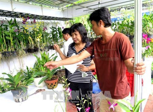 Khách hàng mua rau sạch tại Hội chợ. Ảnh: Hồng Nhung - TTXVN