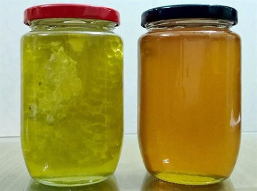 Mật ong hoa bạc hà có màu xanh nhạt khác hoàn toàn các loại mật thông thường có màu vàng cam. Ảnh: matongtaynguyen