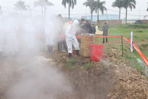 Hà Nội tổ chức Diễn tập thực hành "Kế hoạch hành động ứng phó khẩn cấp với bệnh dịch tả lợn châu Phi".