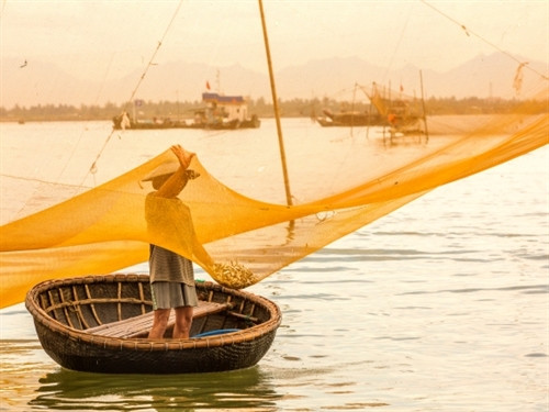 Rớ được kéo lên, ngư dân dồn tôm cá xuống thuyền.