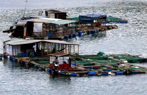 Các bè nuôi thủy sản kết hợp với hoạt động dịch vụ ăn uống. Các bè nuôi thủy sản kết hợp với hoạt động dịch vụ ăn uống.