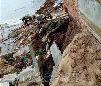 Đoạn sạt lở bờ Kênh Xáng tại tổ 3, ấp Tân Hậu A1, xã Tân An. Ảnh: Công Mạo-TTXVN Đoạn sạt lở bờ Kênh Xáng tại tổ 3, ấp Tân Hậu A1, xã Tân An. Ảnh: Công Mạo-TTXVN