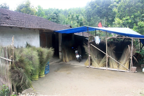 Năm nay mưa rừng nhiều nên người dân phải trữ đót tại nhà. Năm nay mưa rừng nhiều nên người dân phải trữ đót tại nhà.