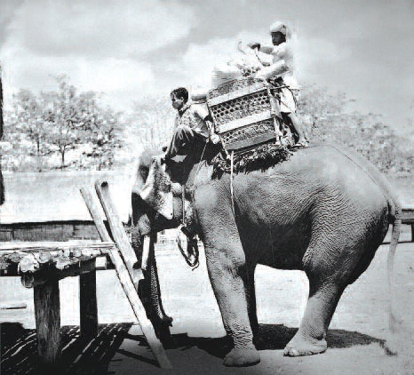 Dỡ hàng xuống từ lưng voi.