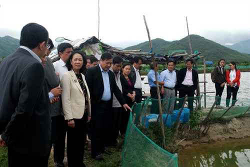 Đồng chí Trương Thị Mai tìm hiểu mô hình nuôi tôm hùm xen cua biển ở xã Xuân Lộc, thị xã Sông Cầu. Ảnh: Thế Lập – TTXVN