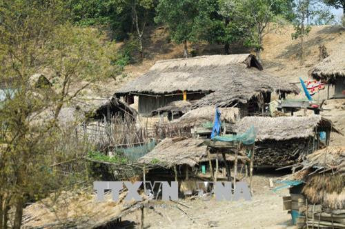 Những túp lều lụp xụp ở Pú Vang. Ảnh: Xuân Tư - TTXVN Những túp lều lụp xụp ở Pú Vang. Ảnh: Xuân Tư - TTXVN