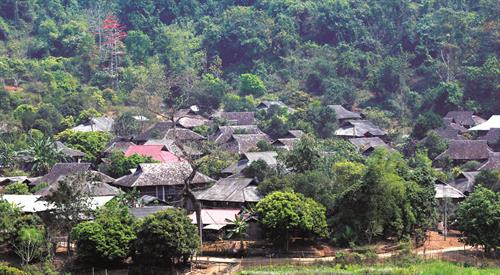 Người dân Lai Châu gắn quyền lợi với rừng ảnh 1