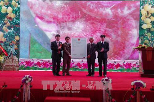 Đại diện Cục Sở hữu trí tuệ trao văn bằng bảo hộ nhãn hiệu tập thể "Bưởi đỏ Tân Lạc”. Ảnh: Vũ Hà - TTXVN Đại diện Cục Sở hữu trí tuệ trao văn bằng bảo hộ nhãn hiệu tập thể "Bưởi đỏ Tân Lạc”. Ảnh: Vũ Hà - TTXVN