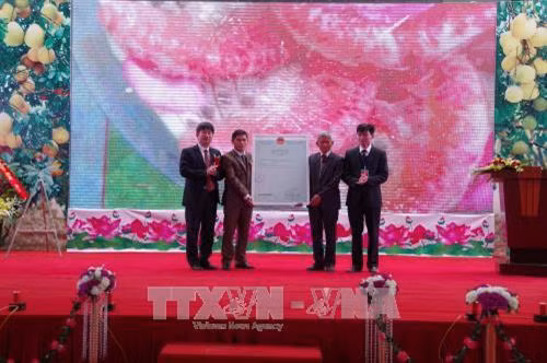 Đại diện Cục Sở hữu trí tuệ trao văn bằng bảo hộ nhãn hiệu tập thể "Bưởi đỏ Tân Lạc”. Ảnh: Vũ Hà - TTXVN