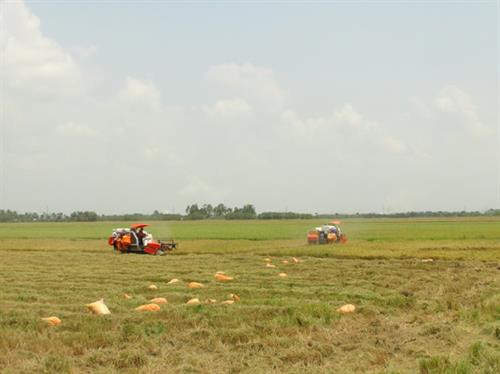 Sự chung tay xây dựng quê hương của cộng đồng các dân tộc trên địa bàn tỉnh ngày càng phát triển. Ảnh: soctrang.gov.vn Sự chung tay xây dựng quê hương của cộng đồng các dân tộc trên địa bàn tỉnh ngày càng phát triển. Ảnh: soctrang.gov.vn