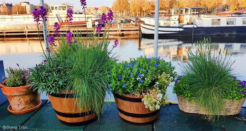 Thăm Thủ đô Amsterdam với xe đạp và hệ thống kênh đào nổi tiếng: Hệ thống kênh đào của Hà Lan vô cùng ấn tượng đã được UNESCO công nhận là di sản thế giới. Di chuyển bằng thuyền trên những con kênh là cách dễ dàng để có thể vòng quanh thành phố. Công trình kênh đào được xây dựng để rút cạn bãi lầy nhằm mở rộng Amsterdam. 2 bên kênh đào ở Amsterdam san sát những ngôi nhà xinh xắn, được gọi là Dancing House. Vùng đất ở đây rất lầy dẫn đến hiện tượng nghiêng của các ngôi nhà đầy màu sắc. Không phải những chiếc ôtô đắt tiền, xe đạp mới là phương tiện chính yếu được khuyến khích sử dụng tại Hà Lan. Bạn có thể bắt gặp xe đạp ở mọi nơi, mọi ngóc ngách khi có gần 60% dân số sử dụng xe đạp là phương tiện di chuyển hàng ngày thay thế ôtô. Hà Lan hướng đến một cuộc sống giảm thiểu tác nhân gây hại môi trường và ô nhiễm tiếng ồn. Tàu điện leng keng cũng là một phương tiện phổ biến ở Amsterdam. Đạp xe hít thở bầu không khí trong lành tràn ngập cây xanh: Một trong những nhiệm vụ trọng tâm mà chính phủ Hà Lan đề ra là bảo vệ thiên nhiên và động vật hoang dã. Các công viên quốc gia với số lượng cây xanh khổng lồ chiếm diện tích khá lớn, trải dài trên khắp đất nước Hà Lan, giao thoa khéo léo với các tuyến đường huyết mạch. Ngủ qua đêm trên những con thuyền dọc bờ kênh Amsterdam: Tàu thuyền là phương tiện lưu trú phổ biến ở Hà Lan. Đến đất nước này, thay vì lưu trú tại các khách sạn thông thường trong thành phố, bạn hãy thử chọn “boat hotel” dọc các con kênh để có thêm trải nghiệm mới lạ. Bình minh trên các con thuyền nhìn ra mặt nước phẳng lặng mang lại cảm giác vô cùng thú vị và thư giãn. Ngây ngất trước vườn hoa lớn nhất thế giới Keukenhof: Cách thủ đô Amsterdam 30 km về hướng tây nam, KeuKenhof trải dài trên khuôn đất rộng 30 ha là nơi hàng nghìn loài hoa trong đó có loài tulip - biểu tượng của đất nước Hà Lan xinh đẹp ngự trị. Đến làng Kinderdijk, bạn nên thuê xe đạp để tham quan, dạo quanh những con đường ngoằn nghèo, uốn khúc, tận hưởng khung cảnh bình yên, mộc mạc này. Ngắm nhìn làng cối xay gió lâu đời nhất Hà Lan: Khách du lịch thông thường hay chọn đến làng Zaanse Schans bởi gần thủ đô hơn, những chiếc cối xay gió lại có màu sắc bắt mắt. Nhưng nếu muốn khám phá những gì nguyên sơ và lâu đời nhất, làng Kinderdijk nên là sự lựa chọn hàng đầu bởi ở đây còn bảo tồn toàn vẹn 19 cối xay gió lâu đời nhất của Hà Lan. Ngôi làng này đã được UNESCO công nhận là di sản văn hóa thế giới vào năm 1997. Những chiếc cối xay gió đầu tiên ra đời xuất phát từ nguyên do đất nước Hà Lan nằm dưới mực nước biển đến 30%. Chúng làm nhiệm vụ điều chuyển dòng nước, là những máy bơm dựa vào sức lực của tự nhiên giúp đất nước Hà Lan không bị nhấn chìm dưới mực nước biển. Chiếc thuyền nhẹ nhàng lướt đi dọc theo kênh rạch nhỏ, qua những ngôi nhà lợp mái tranh lâu đời vẫn tồn tại từ thế kỷ 18, mang lại cho bạn cảm giác không thể nào quên. Ở Giethoorn, âm thanh to nhất bạn có thể nghe là tiếng quàn quạc của bầy vịt đang bơi dưới mặt nước, hoặc tiếng kêu của các loài chim khác thi thoảng vỗ cánh bay qua đỉnh đầu. Giethoorn thuộc tỉnh Overijssel, Hà Lan. Cái tên Giethoorn (sừng dê) xuất phát từ khám phá của những cư dân đầu tiên đến từ Địa Trung Hải. Họ đã tìm thấy tại đây hàng trăm chiếc sừng dê, hậu quả của trận lũ lịch sử vào thế kỷ thứ 10. Đến đây, bạn có thể thuê thuyền của dân địa phương với giá 20 euro/giờ. Thông thường, trong khoảng 2-3 giờ, bạn có thể hoàn tất hành trình khám phá ngôi làng nhỏ này. Ghé thăm ngôi làng cổ tích đẹp nhất thế giới Giethoorn: Ở Giethoorn, khói bụi và tiếng còi của xe cộ không tồn tại. Khi đặt chân đến đây, mọi người phải để lại xe hơi bên ngoài làng, thuê thuyền mà người dân gọi là “Whisper boat” (Thuyền thì thầm) có động cơ không gây tiếng ồn để “tiếp cận” ngôi làng,hoặc có thể đi bộ qua hơn 176 cây cầu vòm bằng gỗ. Nhưng nhiều ngôi nhà đến nay vẫn không thể tới được bằng đường bộ. Ngay cả những người đưa thư báo cũng phải giao thư từ bằng cách đi thuyền. Đến thăm Anne Frank House với những trải nghiệm xúc động: Anne Frank House là nơi tưởng niệm cô gái nhỏ là nạn nhân của nạn diệt chủng người Do Thái thời Hitler và là tác giả của cuốn Nhật ký Anne Frank, được khai bút vào năm 1942 khi cô mới 13 tuổi. Tham quan Anne Frank House ở Amsterdam là một trải nghiệm xúc động cho mọi người. Khi đến đây, bạn phải xếp hàng khá lâu nếu không đặt vé online ở mục "skip the line" (không phải xếp hàng). Khi vào bên trong, bạn không được phép chụp hình. Bức tượng Anne Frank trước nhà thờ ngay cạnh nhà. Dù toàn bộ trải nghiệm khi thăm nhà Anne Frank rất đau buồn, đó là một dấu ấn của lịch sử, ghi lại sự anh hùng và khắc nghiệt của Thế chiến. Anne Frank House và cuốn nhật ký kinh điển là một lời nhắc nhở chúng ta hãy sống mỗi ngày một cách trọn vẹn nhất, để tìm thấy niềm vui trong những điều nhỏ nhặt, và hãy yêu thương người khác bằng một trái tim rộng mở. Hà Lan quả thật rất đặc biệt. Giữa cuộc sống hiện đại, bạn có thể tìm thấy được sự bình yên, cảm giác an toàn và thư thả, khác biệt với bất cứ nơi nào xô bồ và hiện đại mà bạn đã và sẽ đi qua. Đất nước đáng sống bậc nhất thế giới này nên có trong cuốn sổ du lịch của những tín đồ đam mê khám phá trải nghiệm. Thăm Thủ đô Amsterdam với xe đạp và hệ thống kênh đào nổi tiếng: Hệ thống kênh đào của Hà Lan vô cùng ấn tượng đã được UNESCO công nhận là di sản thế giới. Di chuyển bằng thuyền trên những con kênh là cách dễ dàng để có thể vòng quanh thành phố. Công trình kênh đào được xây dựng để rút cạn bãi lầy nhằm mở rộng Amsterdam. 2 bên kênh đào ở Amsterdam san sát những ngôi nhà xinh xắn, được gọi là Dancing House. Vùng đất ở đây rất lầy dẫn đến hiện tượng nghiêng của các ngôi nhà đầy màu sắc. Không phải những chiếc ôtô đắt tiền, xe đạp mới là phương tiện chính yếu được khuyến khích sử dụng tại Hà Lan. Bạn có thể bắt gặp xe đạp ở mọi nơi, mọi ngóc ngách khi có gần 60% dân số sử dụng xe đạp là phương tiện di chuyển hàng ngày thay thế ôtô. Hà Lan hướng đến một cuộc sống giảm thiểu tác nhân gây hại môi trường và ô nhiễm tiếng ồn. Tàu điện leng keng cũng là một phương tiện phổ biến ở Amsterdam. Đạp xe hít thở bầu không khí trong lành tràn ngập cây xanh: Một trong những nhiệm vụ trọng tâm mà chính phủ Hà Lan đề ra là bảo vệ thiên nhiên và động vật hoang dã. Các công viên quốc gia với số lượng cây xanh khổng lồ chiếm diện tích khá lớn, trải dài trên khắp đất nước Hà Lan, giao thoa khéo léo với các tuyến đường huyết mạch. Ngủ qua đêm trên những con thuyền dọc bờ kênh Amsterdam: Tàu thuyền là phương tiện lưu trú phổ biến ở Hà Lan. Đến đất nước này, thay vì lưu trú tại các khách sạn thông thường trong thành phố, bạn hãy thử chọn “boat hotel” dọc các con kênh để có thêm trải nghiệm mới lạ. Bình minh trên các con thuyền nhìn ra mặt nước phẳng lặng mang lại cảm giác vô cùng thú vị và thư giãn. Ngây ngất trước vườn hoa lớn nhất thế giới Keukenhof: Cách thủ đô Amsterdam 30 km về hướng tây nam, KeuKenhof trải dài trên khuôn đất rộng 30 ha là nơi hàng nghìn loài hoa trong đó có loài tulip - biểu tượng của đất nước Hà Lan xinh đẹp ngự trị. Đến làng Kinderdijk, bạn nên thuê xe đạp để tham quan, dạo quanh những con đường ngoằn nghèo, uốn khúc, tận hưởng khung cảnh bình yên, mộc mạc này. Ngắm nhìn làng cối xay gió lâu đời nhất Hà Lan: Khách du lịch thông thường hay chọn đến làng Zaanse Schans bởi gần thủ đô hơn, những chiếc cối xay gió lại có màu sắc bắt mắt. Nhưng nếu muốn khám phá những gì nguyên sơ và lâu đời nhất, làng Kinderdijk nên là sự lựa chọn hàng đầu bởi ở đây còn bảo tồn toàn vẹn 19 cối xay gió lâu đời nhất của Hà Lan. Ngôi làng này đã được UNESCO công nhận là di sản văn hóa thế giới vào năm 1997. Những chiếc cối xay gió đầu tiên ra đời xuất phát từ nguyên do đất nước Hà Lan nằm dưới mực nước biển đến 30%. Chúng làm nhiệm vụ điều chuyển dòng nước, là những máy bơm dựa vào sức lực của tự nhiên giúp đất nước Hà Lan không bị nhấn chìm dưới mực nước biển. Chiếc thuyền nhẹ nhàng lướt đi dọc theo kênh rạch nhỏ, qua những ngôi nhà lợp mái tranh lâu đời vẫn tồn tại từ thế kỷ 18, mang lại cho bạn cảm giác không thể nào quên. Ở Giethoorn, âm thanh to nhất bạn có thể nghe là tiếng quàn quạc của bầy vịt đang bơi dưới mặt nước, hoặc tiếng kêu của các loài chim khác thi thoảng vỗ cánh bay qua đỉnh đầu. Giethoorn thuộc tỉnh Overijssel, Hà Lan. Cái tên Giethoorn (sừng dê) xuất phát từ khám phá của những cư dân đầu tiên đến từ Địa Trung Hải. Họ đã tìm thấy tại đây hàng trăm chiếc sừng dê, hậu quả của trận lũ lịch sử vào thế kỷ thứ 10. Đến đây, bạn có thể thuê thuyền của dân địa phương với giá 20 euro/giờ. Thông thường, trong khoảng 2-3 giờ, bạn có thể hoàn tất hành trình khám phá ngôi làng nhỏ này. Ghé thăm ngôi làng cổ tích đẹp nhất thế giới Giethoorn: Ở Giethoorn, khói bụi và tiếng còi của xe cộ không tồn tại. Khi đặt chân đến đây, mọi người phải để lại xe hơi bên ngoài làng, thuê thuyền mà người dân gọi là “Whisper boat” (Thuyền thì thầm) có động cơ không gây tiếng ồn để “tiếp cận” ngôi làng,hoặc có thể đi bộ qua hơn 176 cây cầu vòm bằng gỗ. Nhưng nhiều ngôi nhà đến nay vẫn không thể tới được bằng đường bộ. Ngay cả những người đưa thư báo cũng phải giao thư từ bằng cách đi thuyền. Đến thăm Anne Frank House với những trải nghiệm xúc động: Anne Frank House là nơi tưởng niệm cô gái nhỏ là nạn nhân của nạn diệt chủng người Do Thái thời Hitler và là tác giả của cuốn Nhật ký Anne Frank, được khai bút vào năm 1942 khi cô mới 13 tuổi. Tham quan Anne Frank House ở Amsterdam là một trải nghiệm xúc động cho mọi người. Khi đến đây, bạn phải xếp hàng khá lâu nếu không đặt vé online ở mục "skip the line" (không phải xếp hàng). Khi vào bên trong, bạn không được phép chụp hình. Bức tượng Anne Frank trước nhà thờ ngay cạnh nhà. Dù toàn bộ trải nghiệm khi thăm nhà Anne Frank rất đau buồn, đó là một dấu ấn của lịch sử, ghi lại sự anh hùng và khắc nghiệt của Thế chiến. Anne Frank House và cuốn nhật ký kinh điển là một lời nhắc nhở chúng ta hãy sống mỗi ngày một cách trọn vẹn nhất, để tìm thấy niềm vui trong những điều nhỏ nhặt, và hãy yêu thương người khác bằng một trái tim rộng mở. Hà Lan quả thật rất đặc biệt. Giữa cuộc sống hiện đại, bạn có thể tìm thấy được sự bình yên, cảm giác an toàn và thư thả, khác biệt với bất cứ nơi nào xô bồ và hiện đại mà bạn đã và sẽ đi qua. Đất nước đáng sống bậc nhất thế giới này nên có trong cuốn sổ du lịch của những tín đồ đam mê khám phá trải nghiệm.