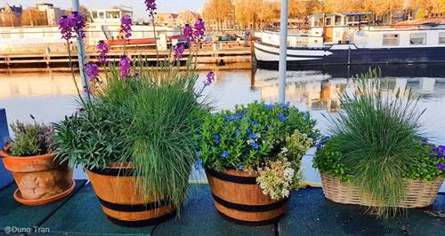 Thăm Thủ đô Amsterdam với xe đạp và hệ thống kênh đào nổi tiếng: Hệ thống kênh đào của Hà Lan vô cùng ấn tượng đã được UNESCO công nhận là di sản thế giới. Di chuyển bằng thuyền trên những con kênh là cách dễ dàng để có thể vòng quanh thành phố. Công trình kênh đào được xây dựng để rút cạn bãi lầy nhằm mở rộng Amsterdam. 2 bên kênh đào ở Amsterdam san sát những ngôi nhà xinh xắn, được gọi là Dancing House. Vùng đất ở đây rất lầy dẫn đến hiện tượng nghiêng của các ngôi nhà đầy màu sắc. Không phải những chiếc ôtô đắt tiền, xe đạp mới là phương tiện chính yếu được khuyến khích sử dụng tại Hà Lan. Bạn có thể bắt gặp xe đạp ở mọi nơi, mọi ngóc ngách khi có gần 60% dân số sử dụng xe đạp là phương tiện di chuyển hàng ngày thay thế ôtô. Hà Lan hướng đến một cuộc sống giảm thiểu tác nhân gây hại môi trường và ô nhiễm tiếng ồn. Tàu điện leng keng cũng là một phương tiện phổ biến ở Amsterdam. Đạp xe hít thở bầu không khí trong lành tràn ngập cây xanh: Một trong những nhiệm vụ trọng tâm mà chính phủ Hà Lan đề ra là bảo vệ thiên nhiên và động vật hoang dã. Các công viên quốc gia với số lượng cây xanh khổng lồ chiếm diện tích khá lớn, trải dài trên khắp đất nước Hà Lan, giao thoa khéo léo với các tuyến đường huyết mạch. Ngủ qua đêm trên những con thuyền dọc bờ kênh Amsterdam: Tàu thuyền là phương tiện lưu trú phổ biến ở Hà Lan. Đến đất nước này, thay vì lưu trú tại các khách sạn thông thường trong thành phố, bạn hãy thử chọn “boat hotel” dọc các con kênh để có thêm trải nghiệm mới lạ. Bình minh trên các con thuyền nhìn ra mặt nước phẳng lặng mang lại cảm giác vô cùng thú vị và thư giãn. Ngây ngất trước vườn hoa lớn nhất thế giới Keukenhof: Cách thủ đô Amsterdam 30 km về hướng tây nam, KeuKenhof trải dài trên khuôn đất rộng 30 ha là nơi hàng nghìn loài hoa trong đó có loài tulip - biểu tượng của đất nước Hà Lan xinh đẹp ngự trị. Đến làng Kinderdijk, bạn nên thuê xe đạp để tham quan, dạo quanh những con đường ngoằn nghèo, uốn khúc, tận hưởng khung cảnh bình yên, mộc mạc này. Ngắm nhìn làng cối xay gió lâu đời nhất Hà Lan: Khách du lịch thông thường hay chọn đến làng Zaanse Schans bởi gần thủ đô hơn, những chiếc cối xay gió lại có màu sắc bắt mắt. Nhưng nếu muốn khám phá những gì nguyên sơ và lâu đời nhất, làng Kinderdijk nên là sự lựa chọn hàng đầu bởi ở đây còn bảo tồn toàn vẹn 19 cối xay gió lâu đời nhất của Hà Lan. Ngôi làng này đã được UNESCO công nhận là di sản văn hóa thế giới vào năm 1997. Những chiếc cối xay gió đầu tiên ra đời xuất phát từ nguyên do đất nước Hà Lan nằm dưới mực nước biển đến 30%. Chúng làm nhiệm vụ điều chuyển dòng nước, là những máy bơm dựa vào sức lực của tự nhiên giúp đất nước Hà Lan không bị nhấn chìm dưới mực nước biển. Chiếc thuyền nhẹ nhàng lướt đi dọc theo kênh rạch nhỏ, qua những ngôi nhà lợp mái tranh lâu đời vẫn tồn tại từ thế kỷ 18, mang lại cho bạn cảm giác không thể nào quên. Ở Giethoorn, âm thanh to nhất bạn có thể nghe là tiếng quàn quạc của bầy vịt đang bơi dưới mặt nước, hoặc tiếng kêu của các loài chim khác thi thoảng vỗ cánh bay qua đỉnh đầu. Giethoorn thuộc tỉnh Overijssel, Hà Lan. Cái tên Giethoorn (sừng dê) xuất phát từ khám phá của những cư dân đầu tiên đến từ Địa Trung Hải. Họ đã tìm thấy tại đây hàng trăm chiếc sừng dê, hậu quả của trận lũ lịch sử vào thế kỷ thứ 10. Đến đây, bạn có thể thuê thuyền của dân địa phương với giá 20 euro/giờ. Thông thường, trong khoảng 2-3 giờ, bạn có thể hoàn tất hành trình khám phá ngôi làng nhỏ này. Ghé thăm ngôi làng cổ tích đẹp nhất thế giới Giethoorn: Ở Giethoorn, khói bụi và tiếng còi của xe cộ không tồn tại. Khi đặt chân đến đây, mọi người phải để lại xe hơi bên ngoài làng, thuê thuyền mà người dân gọi là “Whisper boat” (Thuyền thì thầm) có động cơ không gây tiếng ồn để “tiếp cận” ngôi làng,hoặc có thể đi bộ qua hơn 176 cây cầu vòm bằng gỗ. Nhưng nhiều ngôi nhà đến nay vẫn không thể tới được bằng đường bộ. Ngay cả những người đưa thư báo cũng phải giao thư từ bằng cách đi thuyền. Đến thăm Anne Frank House với những trải nghiệm xúc động: Anne Frank House là nơi tưởng niệm cô gái nhỏ là nạn nhân của nạn diệt chủng người Do Thái thời Hitler và là tác giả của cuốn Nhật ký Anne Frank, được khai bút vào năm 1942 khi cô mới 13 tuổi. Tham quan Anne Frank House ở Amsterdam là một trải nghiệm xúc động cho mọi người. Khi đến đây, bạn phải xếp hàng khá lâu nếu không đặt vé online ở mục "skip the line" (không phải xếp hàng). Khi vào bên trong, bạn không được phép chụp hình. Bức tượng Anne Frank trước nhà thờ ngay cạnh nhà. Dù toàn bộ trải nghiệm khi thăm nhà Anne Frank rất đau buồn, đó là một dấu ấn của lịch sử, ghi lại sự anh hùng và khắc nghiệt của Thế chiến. Anne Frank House và cuốn nhật ký kinh điển là một lời nhắc nhở chúng ta hãy sống mỗi ngày một cách trọn vẹn nhất, để tìm thấy niềm vui trong những điều nhỏ nhặt, và hãy yêu thương người khác bằng một trái tim rộng mở. Hà Lan quả thật rất đặc biệt. Giữa cuộc sống hiện đại, bạn có thể tìm thấy được sự bình yên, cảm giác an toàn và thư thả, khác biệt với bất cứ nơi nào xô bồ và hiện đại mà bạn đã và sẽ đi qua. Đất nước đáng sống bậc nhất thế giới này nên có trong cuốn sổ du lịch của những tín đồ đam mê khám phá trải nghiệm.