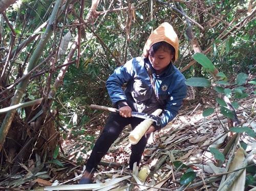Những ngày này người Khơ Mú ở xã vùng cao Bảo Thắng, Kỳ Sơn (Nghệ An) rủ nhau vào rừng hái măng luồng để chế biến món măng trộn tro bếp. Ảnh: Lữ Phú Đây là loại măng có vị ngọt và có màu sáng hơn các loại măng khác. Để hái được măng người dân phải mất cả nửa ngày... Ảnh: Lữ Phú Quy trình chế biến biến món ăn này cũng khá công phu. Ảnh: Lữ Phú Sau khi rửa sạch, người dân cắt nhỏ măng thành từng miếng, sau đó ngâm nước 1 đến 2 ngày, cho măng có vị chua và giảm vị hăng của măng, sau đó đến công đoạn trộn với tro bếp. Ảnh: Lữ Phú Đây là công đoạn quan trọng nhất để tạo hương vị cho món ăn, cũng là cách bảo quản măng hữu hiệu, loại tro dùng để trộn phải là tro mun mới đun, còn ở trong bếp lửa. Ảnh: Lữ Phú Sau khi trộn tro được 10 phút, măng rửa sạch, đập nát và thái thành từng miếng nhỏ. Ảnh: Lữ Phú Chị Xeo Thị Bún, bản Cha Ka 1, xã Bảo Thắng cho biết: Măng sau khi được ngâm nước và trộn tro bếp thì có thể chế biến được rất nhiều món ăn, có thể xào với nhiều loại thịt khác nhau, cũng có thể nấu canh. Trong ảnh là món măng xào thịt bò. Ảnh: Lữ Phú Cũng có thể nấu canh với tro của lá sả sau khi đốt cháy. Ảnh: Lữ Phú Với tập quán du canh du cư trước đây của đồng bào Khơ Mú thì việc bảo quản và dự trữ thức ăn gặp rất nhiều khó khăn. Tuy nhiên đồng bào đã biết sử dụng phương pháp hun khói, thịt phơi gác bếp hay là măng trộn tro bếp để bảo quản thực phẩm được lâu dài qua mùa sản xuất nương rẫy. Trước đây khi nguồn thực phẩm còn khan hiếm, thì món măng trộn tro bếp là nguồn thực phẩm chính giúp đồng bào vượt qua đói khát vào mùa giáp hạt. . Ảnh: Lữ Phú Những ngày này người Khơ Mú ở xã vùng cao Bảo Thắng, Kỳ Sơn (Nghệ An) rủ nhau vào rừng hái măng luồng để chế biến món măng trộn tro bếp. Ảnh: Lữ Phú Đây là loại măng có vị ngọt và có màu sáng hơn các loại măng khác. Để hái được măng người dân phải mất cả nửa ngày... Ảnh: Lữ Phú Quy trình chế biến biến món ăn này cũng khá công phu. Ảnh: Lữ Phú Sau khi rửa sạch, người dân cắt nhỏ măng thành từng miếng, sau đó ngâm nước 1 đến 2 ngày, cho măng có vị chua và giảm vị hăng của măng, sau đó đến công đoạn trộn với tro bếp. Ảnh: Lữ Phú Đây là công đoạn quan trọng nhất để tạo hương vị cho món ăn, cũng là cách bảo quản măng hữu hiệu, loại tro dùng để trộn phải là tro mun mới đun, còn ở trong bếp lửa. Ảnh: Lữ Phú Sau khi trộn tro được 10 phút, măng rửa sạch, đập nát và thái thành từng miếng nhỏ. Ảnh: Lữ Phú Chị Xeo Thị Bún, bản Cha Ka 1, xã Bảo Thắng cho biết: Măng sau khi được ngâm nước và trộn tro bếp thì có thể chế biến được rất nhiều món ăn, có thể xào với nhiều loại thịt khác nhau, cũng có thể nấu canh. Trong ảnh là món măng xào thịt bò. Ảnh: Lữ Phú Cũng có thể nấu canh với tro của lá sả sau khi đốt cháy. Ảnh: Lữ Phú Với tập quán du canh du cư trước đây của đồng bào Khơ Mú thì việc bảo quản và dự trữ thức ăn gặp rất nhiều khó khăn. Tuy nhiên đồng bào đã biết sử dụng phương pháp hun khói, thịt phơi gác bếp hay là măng trộn tro bếp để bảo quản thực phẩm được lâu dài qua mùa sản xuất nương rẫy. Trước đây khi nguồn thực phẩm còn khan hiếm, thì món măng trộn tro bếp là nguồn thực phẩm chính giúp đồng bào vượt qua đói khát vào mùa giáp hạt. . Ảnh: Lữ Phú