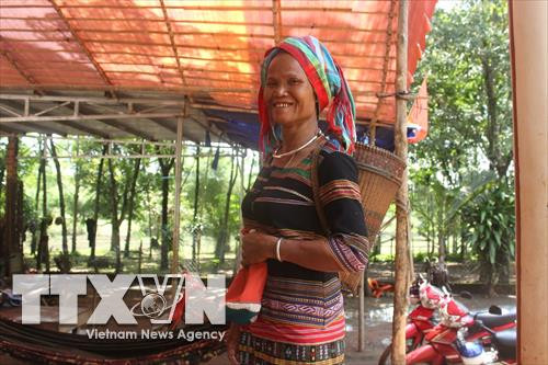 Bà Thị Mương, Chi hội trưởng Chi hội Phụ nữ ấp Bù Dinh, xã Thanh An, huyện Hớn Quản, tỉnh Bình Phước nổi tiếng với các phong trào công tác xã hội, bảo tồn và phát huy văn hóa dân tộc S'Tiêng. Ảnh: TTXVN Bà Thị Mương, Chi hội trưởng Chi hội Phụ nữ ấp Bù Dinh, xã Thanh An, huyện Hớn Quản, tỉnh Bình Phước nổi tiếng với các phong trào công tác xã hội, bảo tồn và phát huy văn hóa dân tộc S'Tiêng. Ảnh: TTXVN