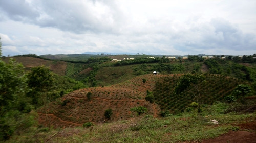 Đất có độ dốc lớn, kém màu mỡ khiến việc canh tác khó khăn