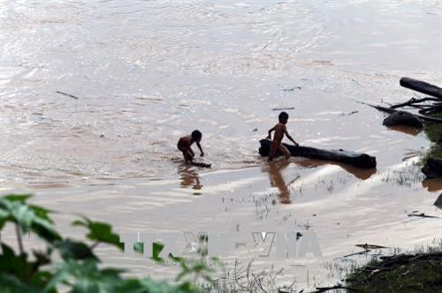 Những đứa trẻ không biết tai họa có thể ập đến lúc nào khi vớt củi trong mùa mưa bão. Ảnh: Phan Tuấn Anh - TTXVN Những đứa trẻ chờ đợi những tấm gỗ, thân cây trôi theo dòng nước. Ảnh: Phan Tuấn Anh - TTXVN Những đứa trẻ không biết tai họa có thể ập đến lúc nào khi vớt củi trong mùa mưa bão. Ảnh: Phan Tuấn Anh - TTXVN Những đứa trẻ chờ đợi những tấm gỗ, thân cây trôi theo dòng nước. Ảnh: Phan Tuấn Anh - TTXVN Dù nước sông chảy xiết, luôn rình rập hiểm nguy nhưng những đứa trẻ vẫn lao ra vớt củi. Ảnh: Phan Tuấn Anh - TTXVN Những đứa trẻ không biết tai họa có thể ập đến lúc nào khi vớt củi trong mùa mưa bão. Ảnh: Phan Tuấn Anh - TTXVN Những đứa trẻ chờ đợi những tấm gỗ, thân cây trôi theo dòng nước. Ảnh: Phan Tuấn Anh - TTXVN Những đứa trẻ không biết tai họa có thể ập đến lúc nào khi vớt củi trong mùa mưa bão. Ảnh: Phan Tuấn Anh - TTXVN Những đứa trẻ chờ đợi những tấm gỗ, thân cây trôi theo dòng nước. Ảnh: Phan Tuấn Anh - TTXVN Dù nước sông chảy xiết, luôn rình rập hiểm nguy nhưng những đứa trẻ vẫn lao ra vớt củi. Ảnh: Phan Tuấn Anh - TTXVN