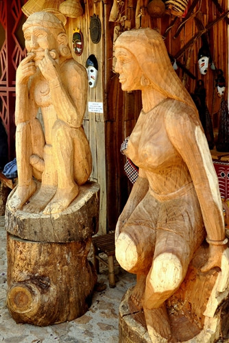 Sức sống đại ngàn.