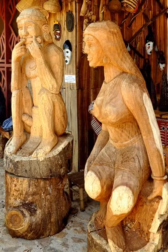 Sức sống đại ngàn.