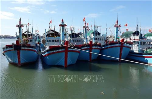 Đội tàu đánh bắt xa bờ của ngư dân Ninh Thuận cập bến tại cảng cá Cà Ná (Thuận Nam, Ninh Thuận). Ảnh: Nguyễn Thành – TTXVN Đội tàu đánh bắt xa bờ của ngư dân Ninh Thuận cập bến tại cảng cá Cà Ná (Thuận Nam, Ninh Thuận). Ảnh: Nguyễn Thành – TTXVN