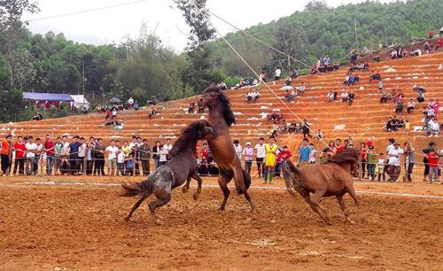 Trận đua ngựa diễn ra đầy kịch tính. Ảnh: Văn Tý - TTXVN Trận đua ngựa diễn ra đầy kịch tính. Ảnh: Văn Tý - TTXVN