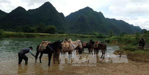 Chiều về bên dòng Quây Sơn. Ảnh: Quốc Đạt/Trung Nguyên - TTXVN Chiều về bên dòng Quây Sơn. Ảnh: Quốc Đạt/Trung Nguyên - TTXVN