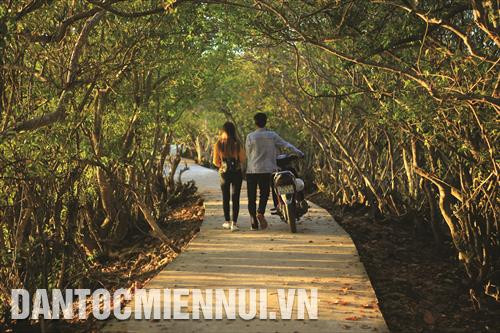 Bảo tồn và phát triển rừng sẽ góp phần đảm bảo cân bằng sinh thái, bảo vệ môi trường, phát huy thế mạnh về rừng