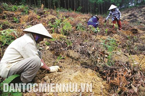 Tỉnh Thừa Thiên - Huế được đánh giá là một trong những địa phương có tính đa dạng sinh học cao, đặc biệt tại các khu bảo tồn thiên nhiên Sao La, Phong Điền; Vườn Quốc gia Bạch Mã