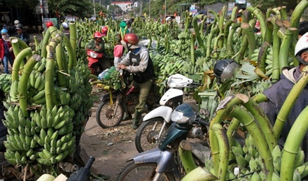 Ảnh minh họa Ảnh minh họa