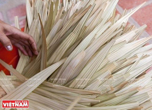 Lá buông sau khi được hơ nóng các lá đều nhau và thẳng tăm tắp.