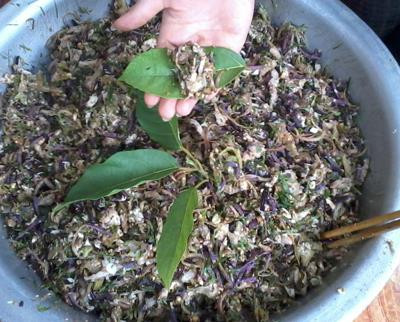 Nham Vân Xuyên: Đặc sản Bắc Giang ảnh 2 Nham Vân Xuyên: Đặc sản Bắc Giang ảnh 2