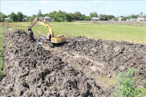 Chuyển đổi đất ruộng kém hiệu quả sang trồng cây ăn trái của bà con huyện Cao Lãnh ( Đồng Tháp). Ảnh: Nguyễn Văn Trí – TTXVN Chuyển đổi đất ruộng kém hiệu quả sang trồng cây ăn trái của bà con huyện Cao Lãnh ( Đồng Tháp). Ảnh: Nguyễn Văn Trí – TTXVN