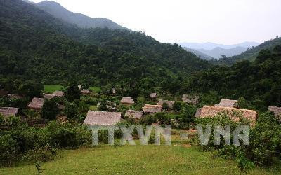 Bản Cò Phạt của người Đan Lai giữa đại ngàn. Ảnh tư liệu: Phương Hoa – TTXVN Bản Cò Phạt của người Đan Lai giữa đại ngàn. Ảnh tư liệu: Phương Hoa – TTXVN