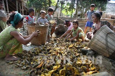 Tộc người Đan Lai kiếm sống từ rừng. Ảnh tư liệu: Phương Hoa – TTXVN Tộc người Đan Lai kiếm sống từ rừng. Ảnh tư liệu: Phương Hoa – TTXVN