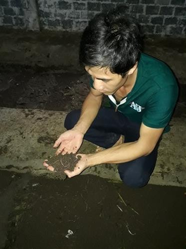 Nuôi giun Ấn Độ tận dụng được nguồn phân thỏ thải ra vừa làm thức ăn cho gia cầm, chim cút. Ảnh: nongnghiep.vn Nuôi giun Ấn Độ tận dụng được nguồn phân thỏ thải ra vừa làm thức ăn cho gia cầm, chim cút. Ảnh: nongnghiep.vn