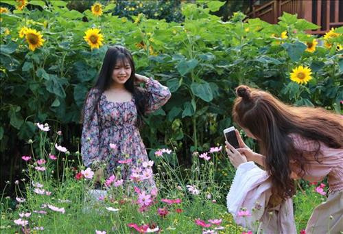 Các bạn trẻ thích thú khi chụp ảnh bên hoa tại Khu du lịch cộng đồng Ko Tam. Ảnh: Phạm Cường-TTXVN Các bạn trẻ thích thú khi chụp ảnh bên hoa tại Khu du lịch cộng đồng Ko Tam. Ảnh: Phạm Cường-TTXVN