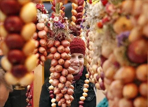 Những củ hành tây được trang trí ngộ nghĩnh trưng bày tại hội chợ ngày 26/11. Ảnh: THX/TTXVN Những củ hành tây được trang trí ngộ nghĩnh trưng bày tại hội chợ ngày 26/11. Ảnh: THX/TTXVN