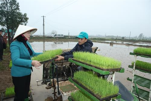 Phó Bí thư Thường trực Thành ủy Hà Nội Ngô Thị Thanh Hằng và đoàn công tác của Ban Chỉ đạo Chương trình số 02-CTr/TU kiểm tra mô hình mạ khay, máy cấy tại xã Hương Ngải, huyện Thạch Thất (Hà Nội). Phó Bí thư Thường trực Thành ủy Hà Nội Ngô Thị Thanh Hằng và Giám đốc Sở Nông nghiệp và Phát triển nông thôn Hà Nội Chu Phú Mỹ trao đổi kinh nghiệm về việc áp dụng mô hình mạ khay, máy cấy trên địa bàn huyện Thạch Thất (Hà Nội). Phó Bí thư Thường trực Thành ủy Hà Nội Ngô Thị Thanh Hằng thăm hỏi, chúc mừng năm mới một số nông dân và thành viên Hợp tác xã Nông nghiệp xã Hương Ngải. Phó Bí thư Thường trực Thành ủy Hà Nội Ngô Thị Thanh Hằng tặng quà nông dân xã Hương Ngải, huyện Thạch Thất (Hà Nội).