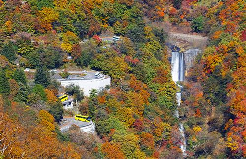 Tên gọi của địa danh này được tạo thành từ hai yếu tố. Trong đó, "i-ro-ha" là ba ký tự đầu tiên trong bảng chữ cái 48 ký tự của tiếng Nhật trước đây; "zaka" có nghĩa là "độ dốc". Ảnh: IkidaneNippon. Con đèo được đặt tên như vậy bởi nó có 48 khúc cua, cũng là số lượng chữ trong bảng chữ cái Nhật Bản. Mỗi khúc cua được đặt tên với một ký tự tương ứng. Ảnh: IkidaneNippon. Những đoạn đường đầu tiên được xây dựng vào năm 1954 và 1965. Đến nay, dù con đường đã được hiện đại hóa và nới rộng nhưng số lượng khúc cua vẫn giữ nguyên. Đây là tuyến đường duy nhất nối thành phố Nikko với vùng Oku-nikko. Ảnh: Japankuru. Đèo Irohazaka vào mùa thu nhìn từ vệ tinh. Ảnh: Google Maps. Hiện nay, con đường Irohazaka thứ nhất là lối đi xuống với 28 khúc cua có điểm dừng chân ngắm khung cảnh hai thác nước. Ảnh: Itchy Feet. Đường Irohazaka thứ hai có 20 khúc cua, chỉ dành cho các phương tiện đi lên cao nguyên Akechidaira. Ảnh:IkidaneNippon. Tuyến cáp treo đưa du khách từ bãi đỗ xe ở cao nguyên đến đài quan sát Akechidaira trong 3 phút với giá 750 yên (khoảng 150.000 đồng). Ảnh: IkidaneNippon. Từ đây, du khách có thể thấy núi Nantai, hồ Chuzenji và thác Kegon. Đây là nơi tốt nhất để nhìn ngắm vẻ đẹp lộng lẫy của thiên nhiên. Thời gian phổ biến nhất để đến Irohazaka là mùa thu, từ giữa tháng 10 đến đầu tháng 11 khi lá cây bắt đầu thay đổi màu sắc. Ảnh: AmusingPlanet. Một đoạn đèo Irohazaka nhìn từ trên cao. Ảnh: Pinterest. Thông thường, mất khoảng 20 đến 30 phút lái xe để đi hết con đèo Irohazaka. Nhưng vào dịp cuối tuần, lượng du khách đổ về đây tham quan rất đông khiến thời gian có thể lên tới 4 giờ. Ảnh: Ảnh: IkidaneNippon. Toàn cảnh vùng núi của tỉnh Tochigi. Ảnh: AmusingPlanet.