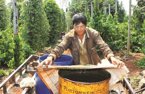 Đồng bào lấy nước về tích trữ trong các thùng chứa Đồng bào lấy nước về tích trữ trong các thùng chứa