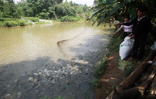 Gia đình anh Triệu Văn Sú, dân tộc Dao, ở thôn Chành, xã Xuân Giao, huyệnBảo Thắng (Lào Cai) được vay vốn ưu đãi đầu tư nuôi trâu sinh sản, cải tạo aonuôi cá, được đánh giá là hộ sử dụng hiệu quả vốn vay ưu đãi và dần thoát nghèo. Gia đình anh Triệu Văn Sú, dân tộc Dao, ở thôn Chành, xã Xuân Giao, huyệnBảo Thắng (Lào Cai) được vay vốn ưu đãi đầu tư nuôi trâu sinh sản, cải tạo aonuôi cá, được đánh giá là hộ sử dụng hiệu quả vốn vay ưu đãi và dần thoát nghèo.