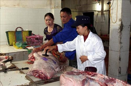 Cán bộ thú y kiểm tra nguồn gốc xuất xứ, hoạt động giết mổ và đóng dấu kiểm dịch tại khu giết mổ tập trung phường Phú Sơn, thị xã Bỉm Sơn, tỉnh Thanh Hóa. Ảnh: Quang Quyết – TTXVN Cán bộ thú y kiểm tra nguồn gốc xuất xứ, hoạt động giết mổ và đóng dấu kiểm dịch tại khu giết mổ tập trung phường Phú Sơn, thị xã Bỉm Sơn, tỉnh Thanh Hóa. Ảnh: Quang Quyết – TTXVN